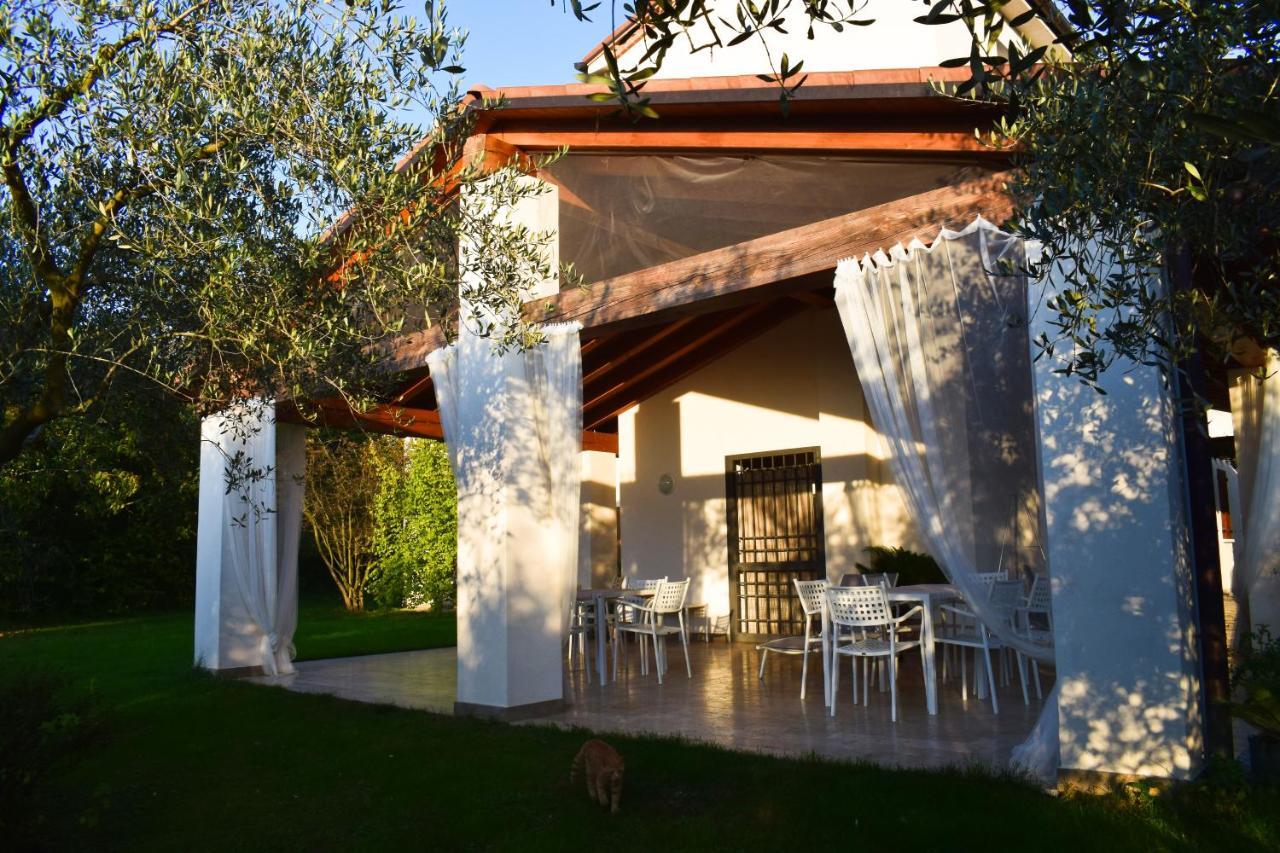 BeeHouse - La Casa delle Api Agriturismo Borso del Grappa Esterno foto