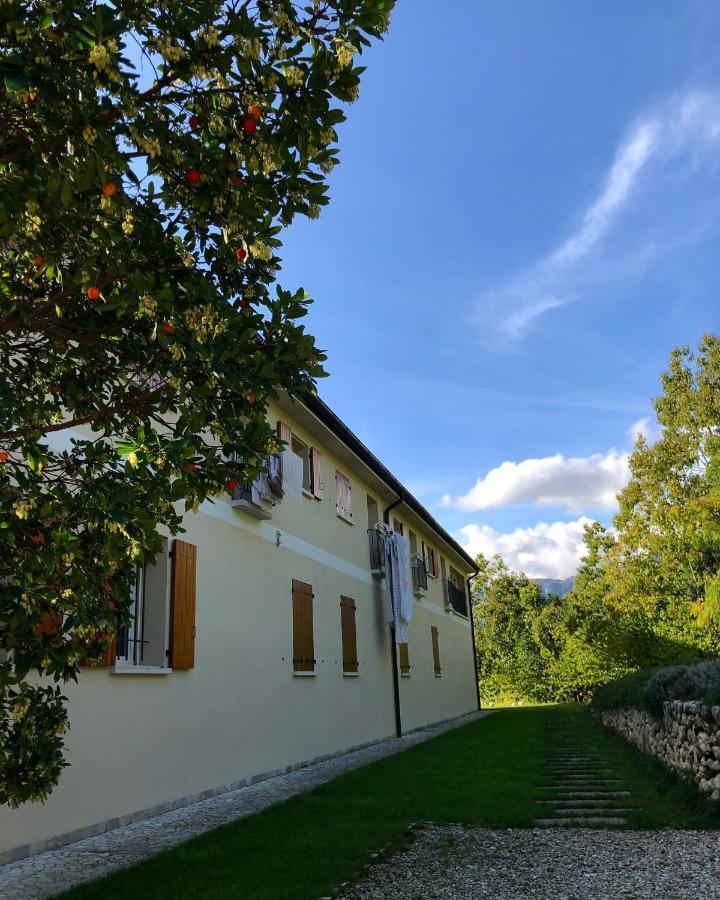 BeeHouse - La Casa delle Api Agriturismo Borso del Grappa Esterno foto